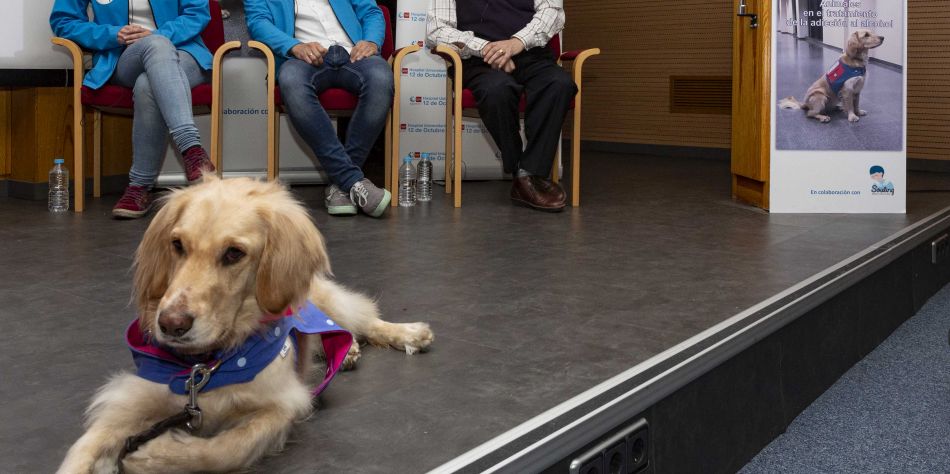 Los perros han sido adiestrados para ayudar a los pacientes en su lucha contra el alcoholismo. (Foto: Comunidad de Madrid)