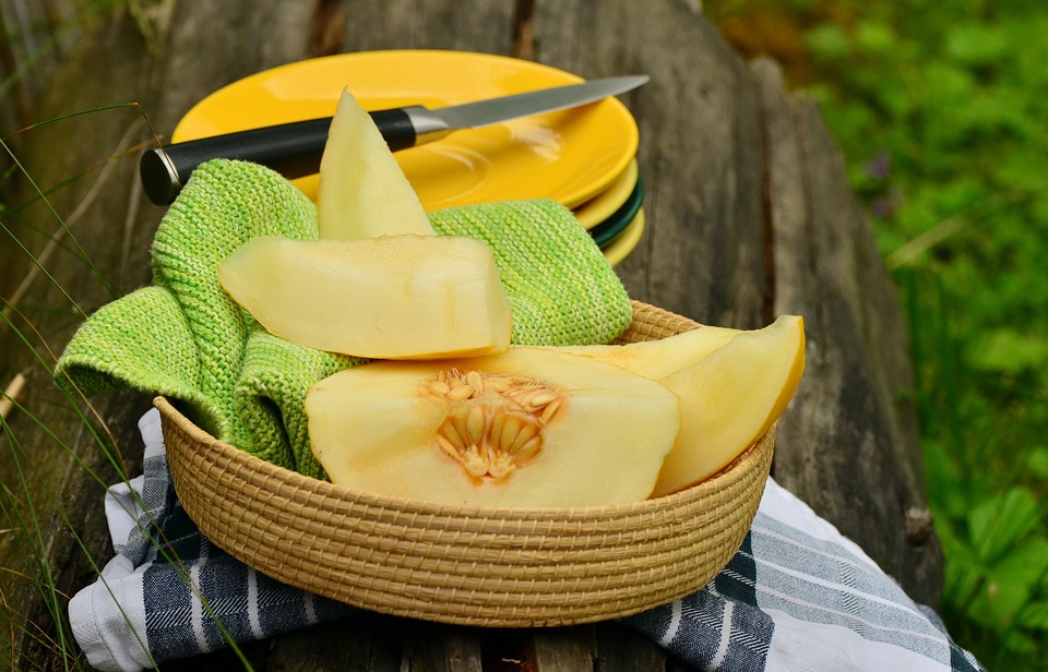 El melón te ayudará a eliminar las toxinas, borrar manchas y evitará que tu dermis se reseque gracias a las vitaminas E y A que contiene. (Foto: Pixabay)