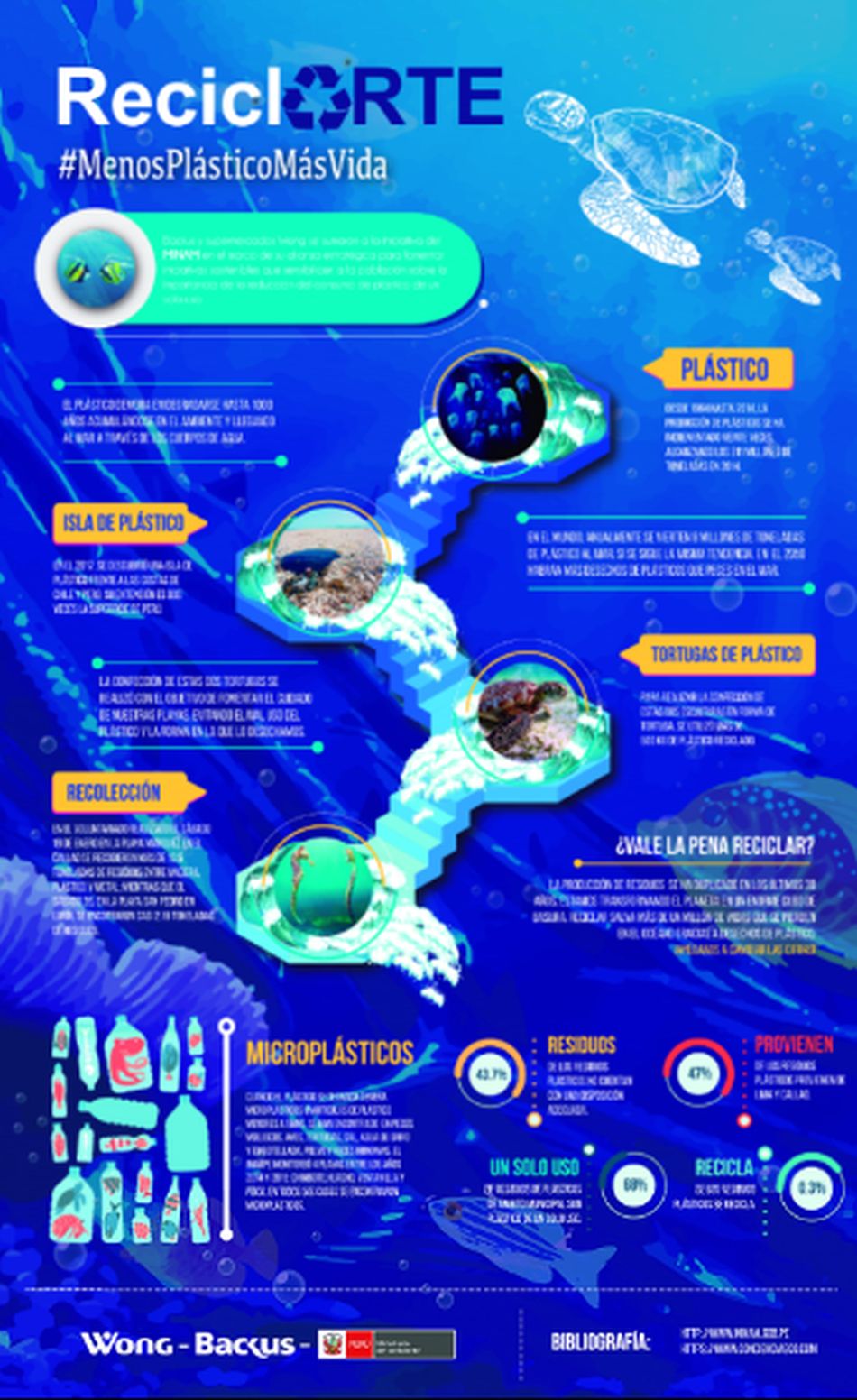 Esta infografía te muestra cómo dañan los plásticos en océanos a las tortugas. (Foto: ReciclArte)