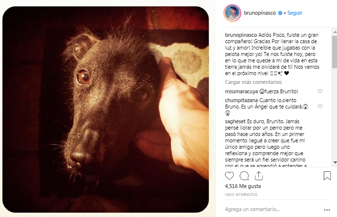 Bruno Pinasco se despide de su mascota. (Foto: Instagram)