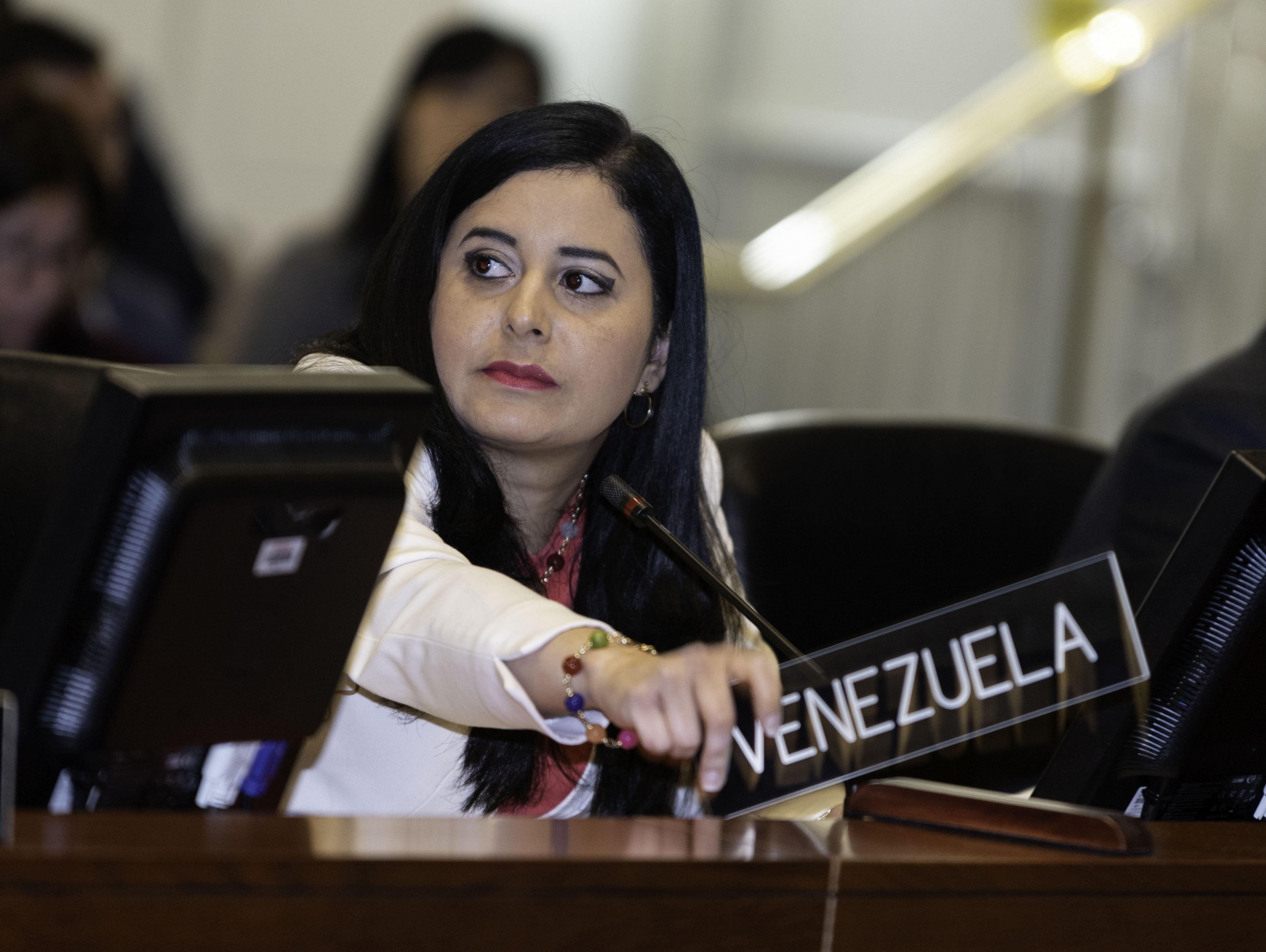 Representante alterna de Venezuela, Asbina Marín. (Foto: EFE)