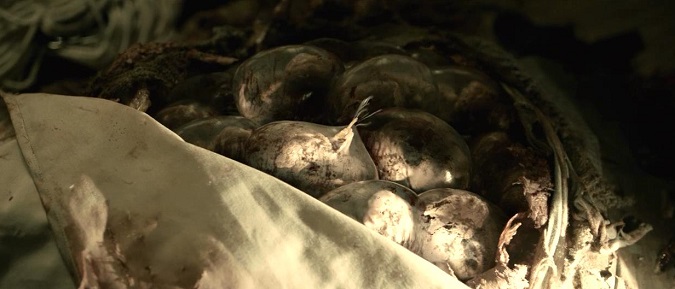 Así lucen los huevos de las Vesps (Foto: Netflix)