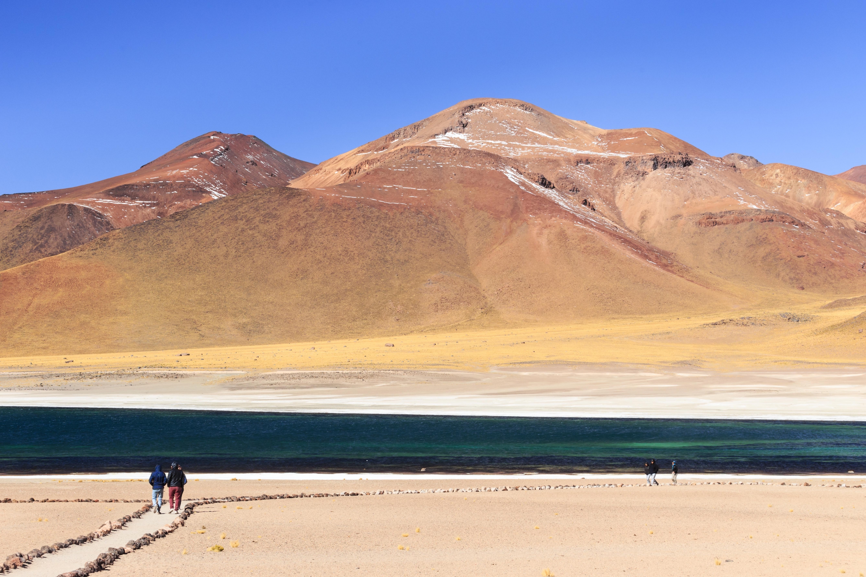 Lagunas altiplánicas te impresionarán. (Foto: SERNATUR Chile)