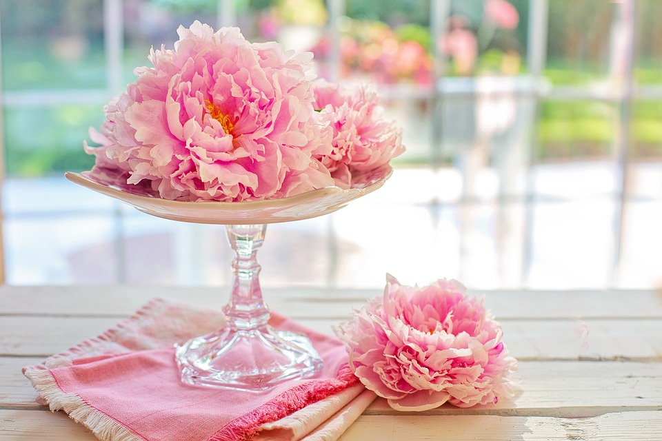 Las peonías son las flores más buscadas por las novias para sus bouquets. (Foto: Pixabay)