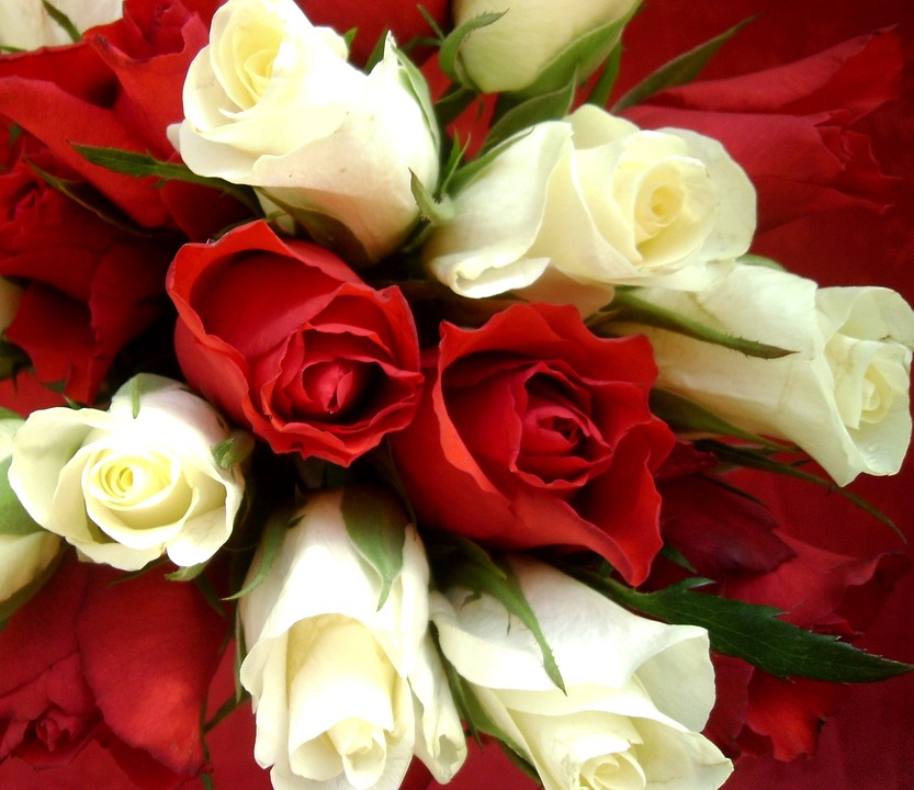 Las rosas son las flores más elegantes por excelencia. (Foto: Pixabay)