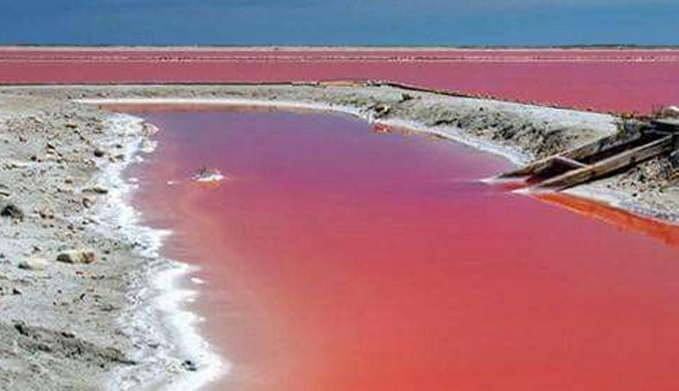 El color rojo del lago se debe a la gran cantidad de algas de dicha tonalidad. (Foto: Pinterest)