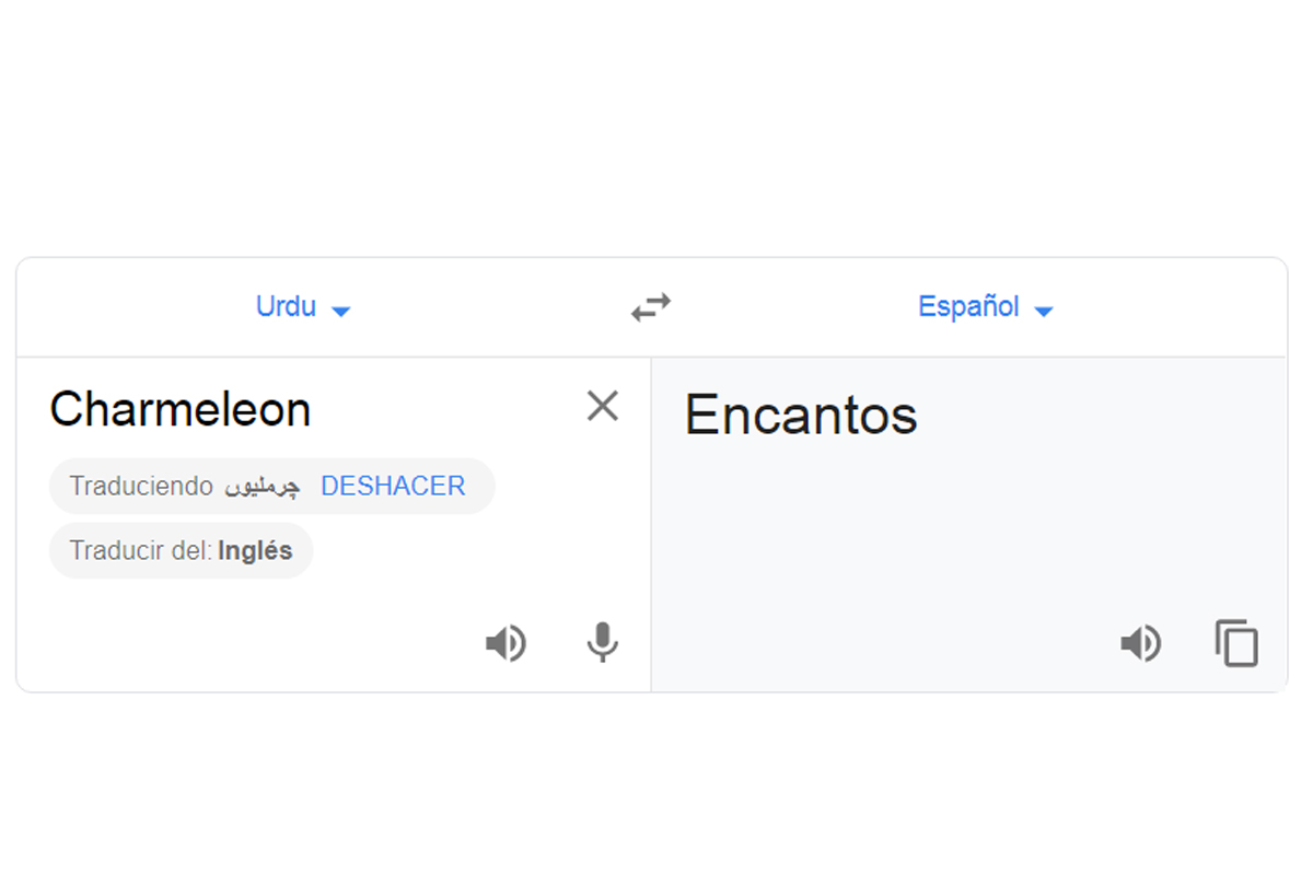 ¿Te has dado cuenta lo que ocurre si traduces 'Charmeleon' en Google Traductor? (Foto: Captura)