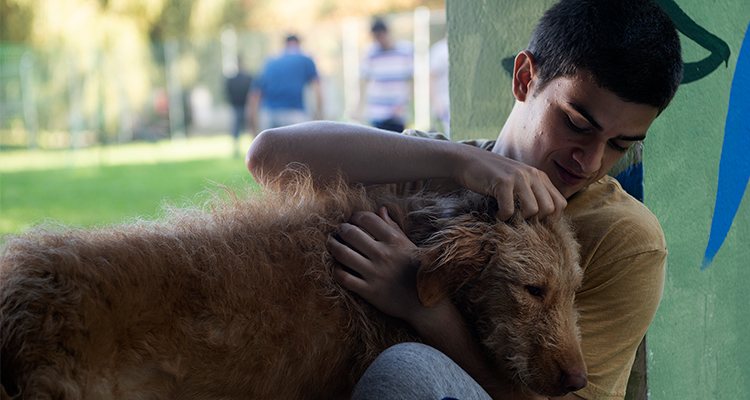 Héctor (Biel Montoro), un joven de 17 años que hará lo imposible para rencontrarse con su perro. (Foto: Netflix)