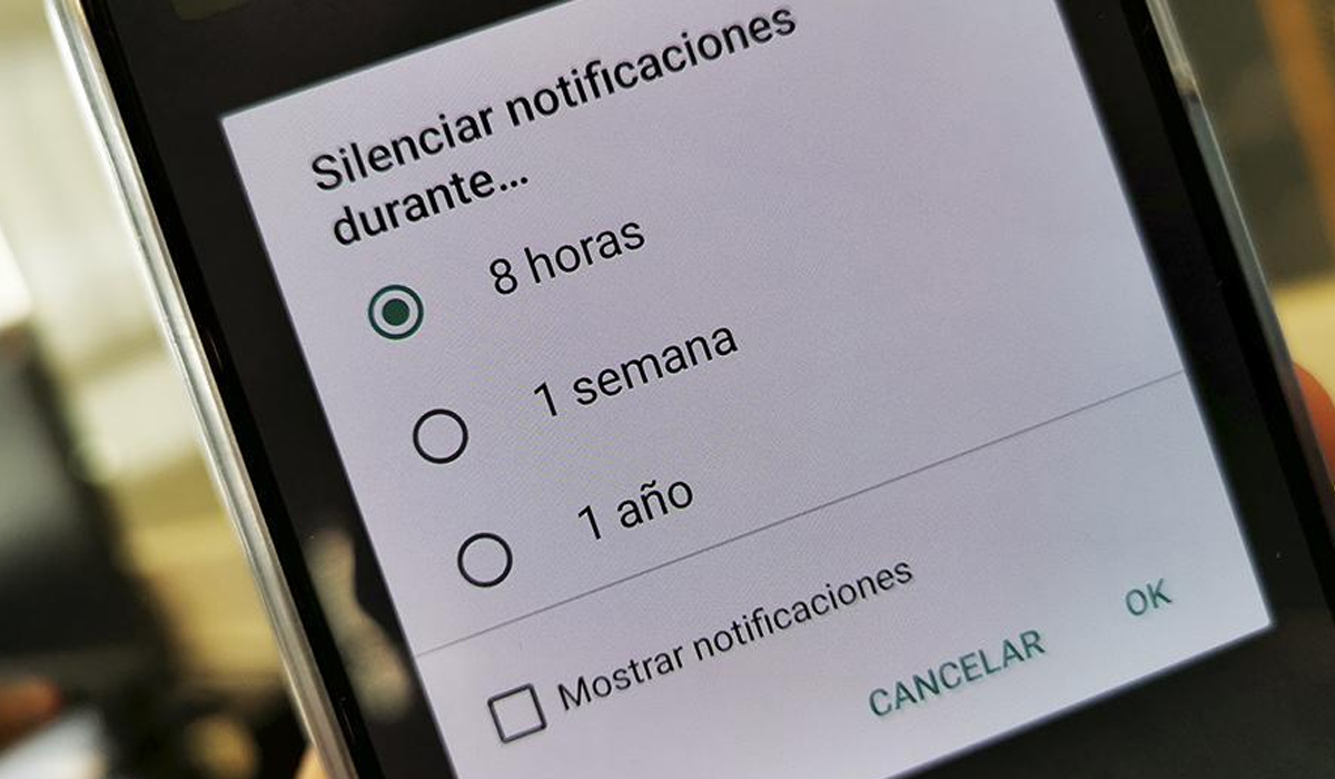 Una de las herramientas es poder silenciar al usuario y evitar recibir notificaciones. De esa forma nunca más te llegarán mensajes sin bloquearlo. (Foto: WhatsApp)